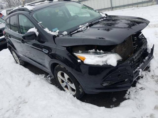 FORD ESCAPE SE 2014 1fmcu0g94eua73356