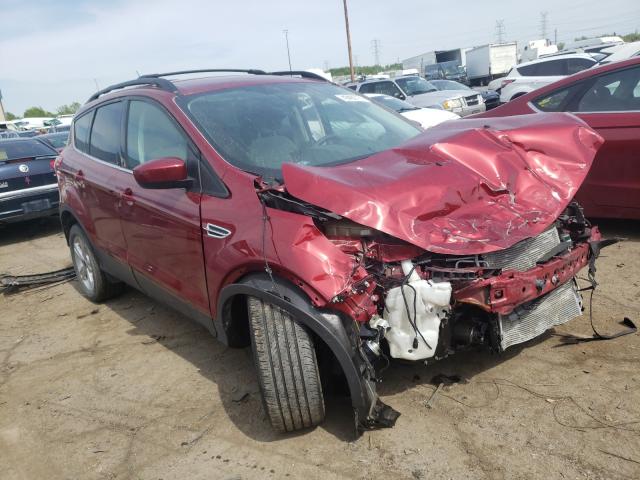 FORD ESCAPE 2014 1fmcu0g94eub00121