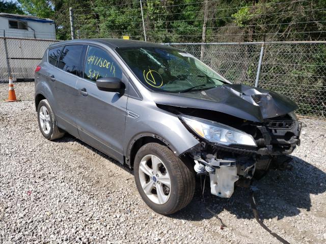 FORD ESCAPE SE 2014 1fmcu0g94eud00030