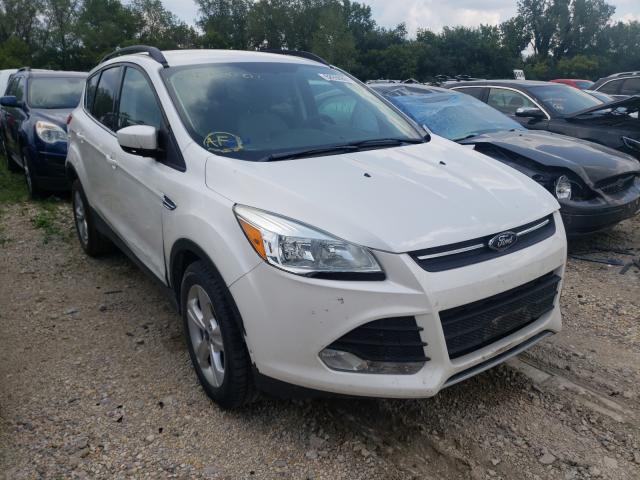 FORD ESCAPE SE 2014 1fmcu0g94eud43802