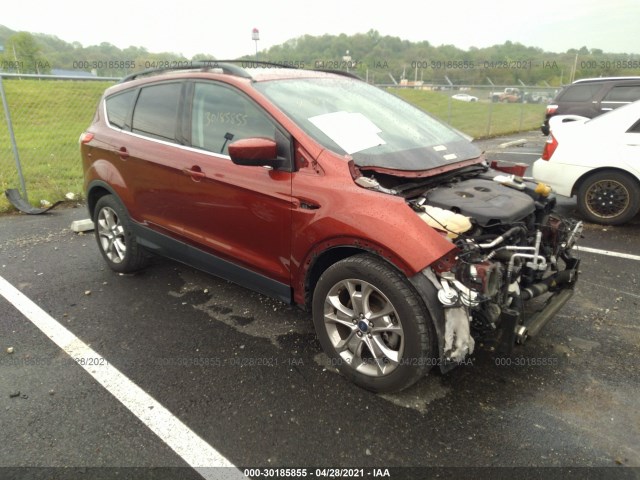 FORD ESCAPE 2014 1fmcu0g94eud43878