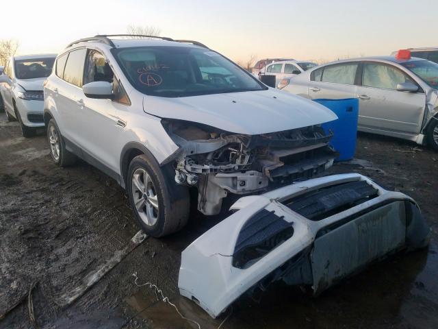 FORD ESCAPE SE 2013 1fmcu0g95duc16152