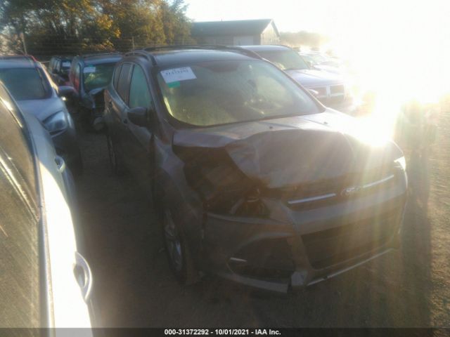 FORD ESCAPE 2014 1fmcu0g95eub74924