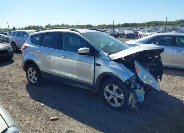 FORD ESCAPE 2014 1fmcu0g95eud39810