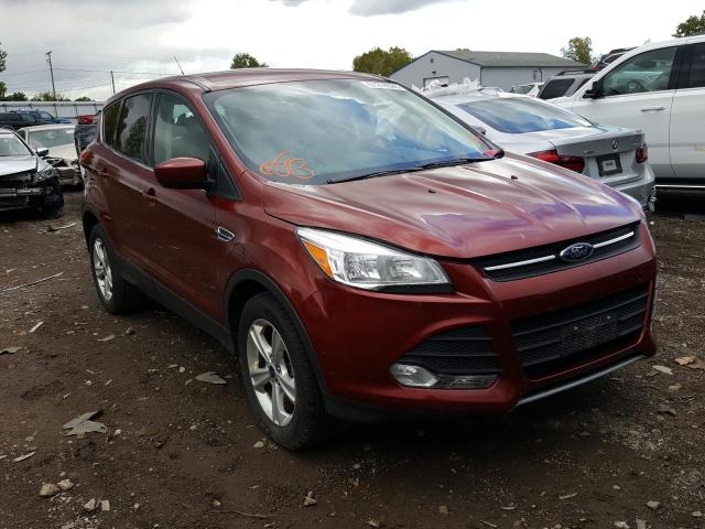 FORD ESCAPE 2014 1fmcu0g95eue49143