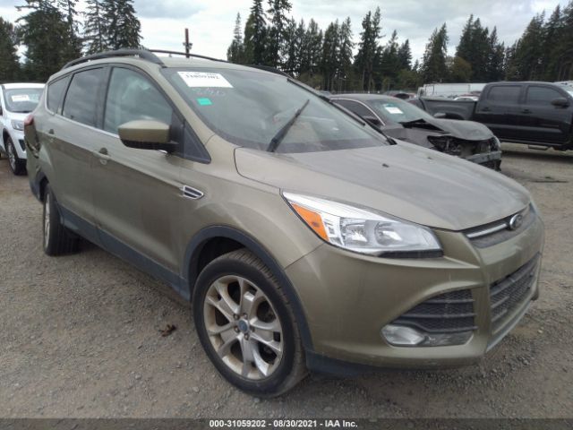 FORD ESCAPE 2013 1fmcu0g96duc07640