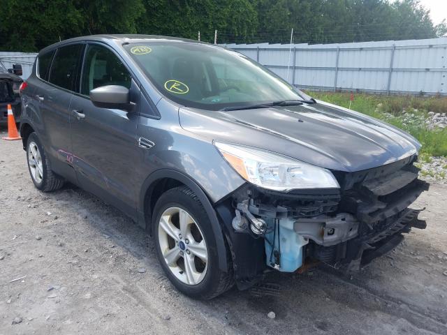 FORD ESCAPE SE 2013 1fmcu0g96duc88932