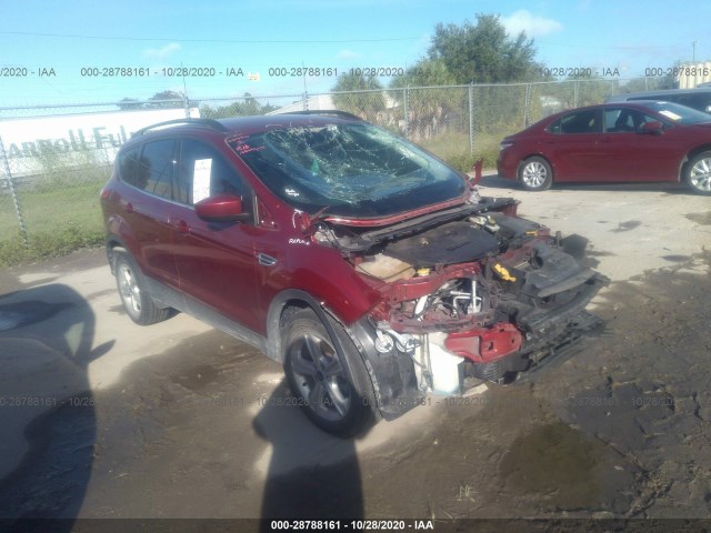 FORD ESCAPE 2014 1fmcu0g96eub05479