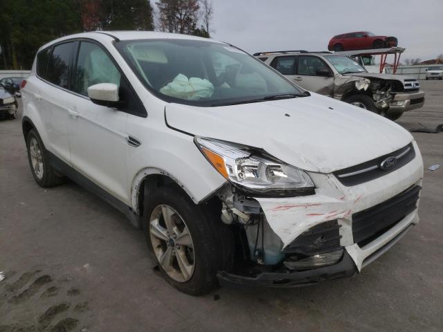 FORD ESCAPE SE 2014 1fmcu0g96euc97888