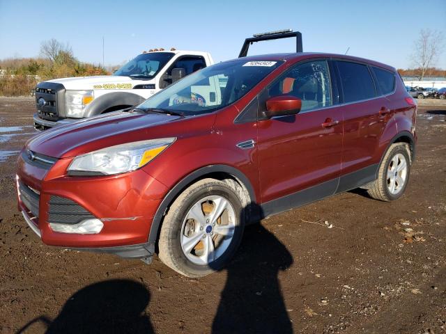 FORD ESCAPE 2014 1fmcu0g97eub25448