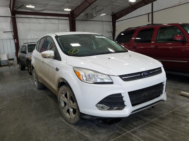 FORD ESCAPE SE 2014 1fmcu0g97eud45396