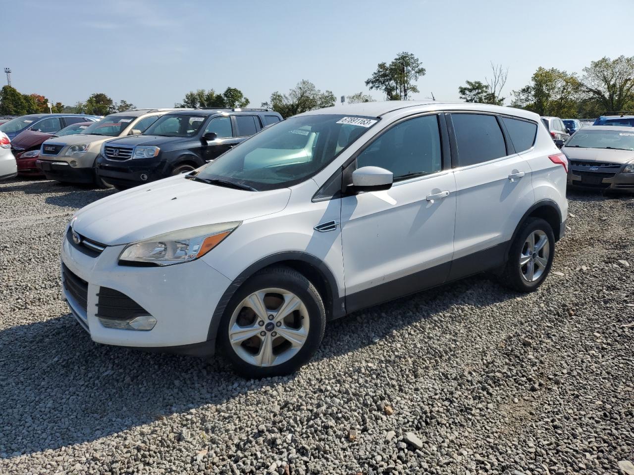 FORD ESCAPE 2014 1fmcu0g97eud59492