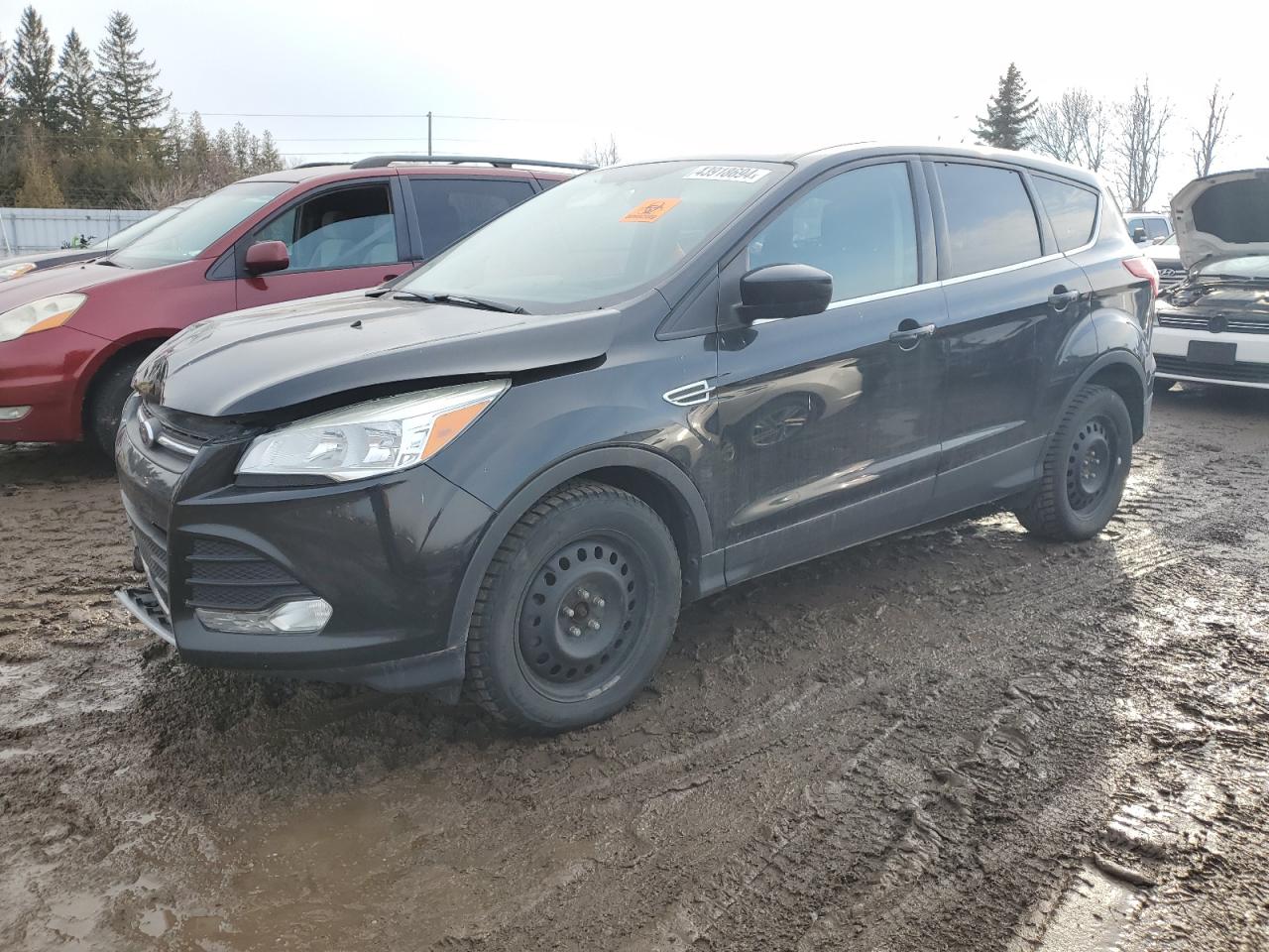 FORD ESCAPE 2014 1fmcu0g97eue02082