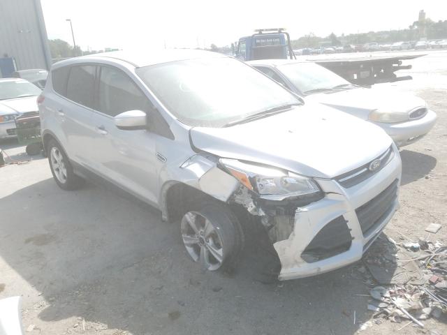 FORD ESCAPE SE 2014 1fmcu0g97eue34918