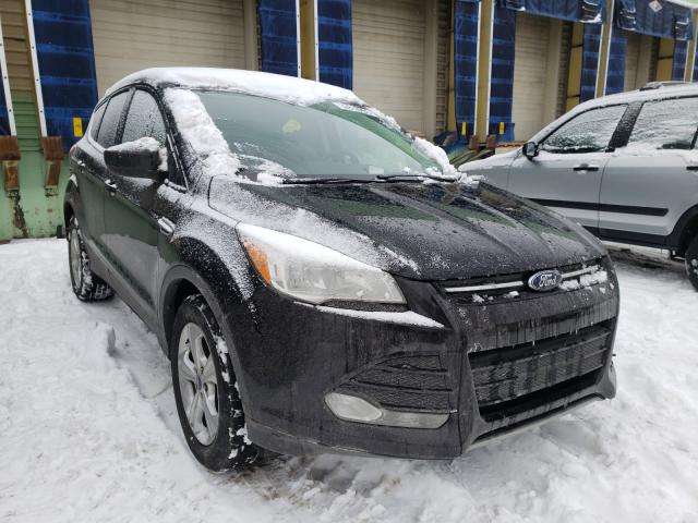 FORD ESCAPE SE 2013 1fmcu0g98duc84901