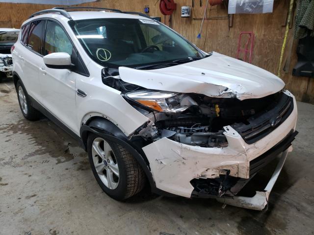 FORD ESCAPE SE 2014 1fmcu0g98eua89625