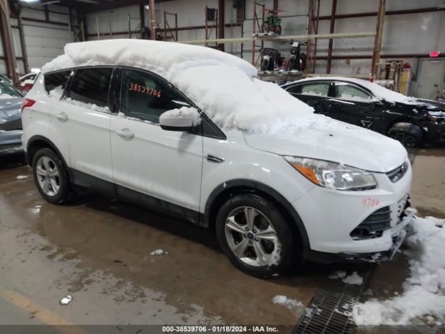 FORD ESCAPE 2014 1fmcu0g98eub55820