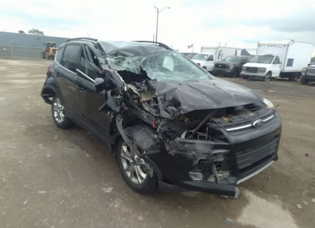 FORD ESCAPE 2014 1fmcu0g98eub60578