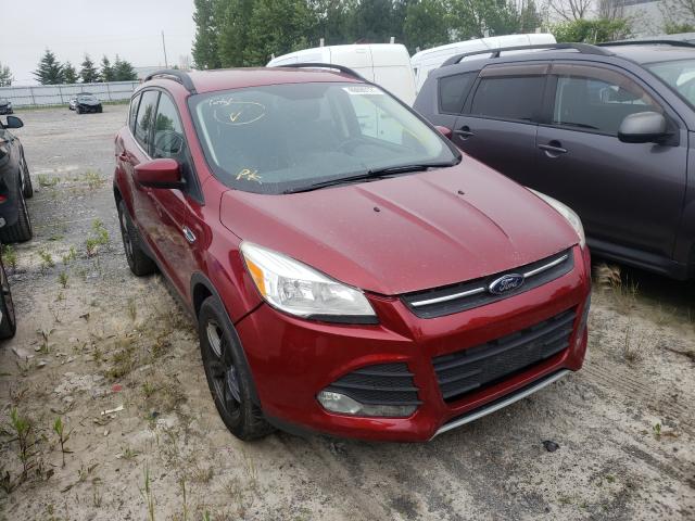 FORD NULL 2014 1fmcu0g98eub82385