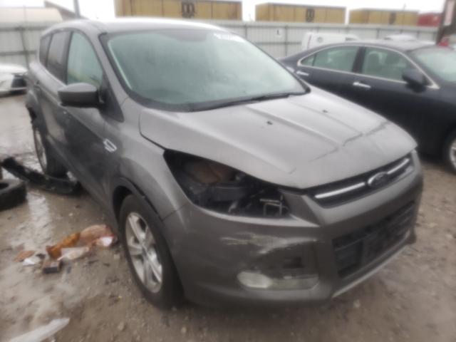 FORD ESCAPE SE 2014 1fmcu0g98euc23338