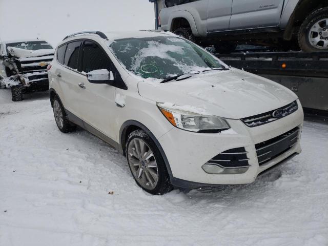 FORD ESCAPE SE 2014 1fmcu0g98euc67694