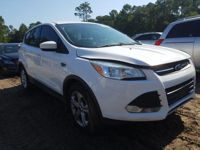 FORD ESCAPE SE 2014 1fmcu0g98eud44791