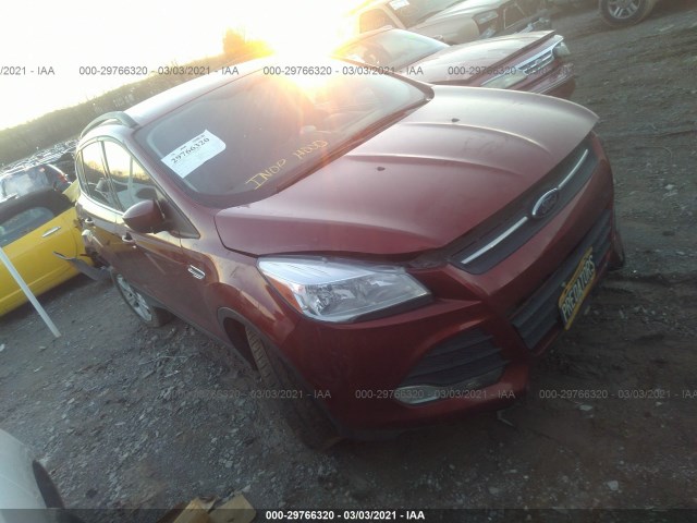 FORD ESCAPE 2014 1fmcu0g98eue20736