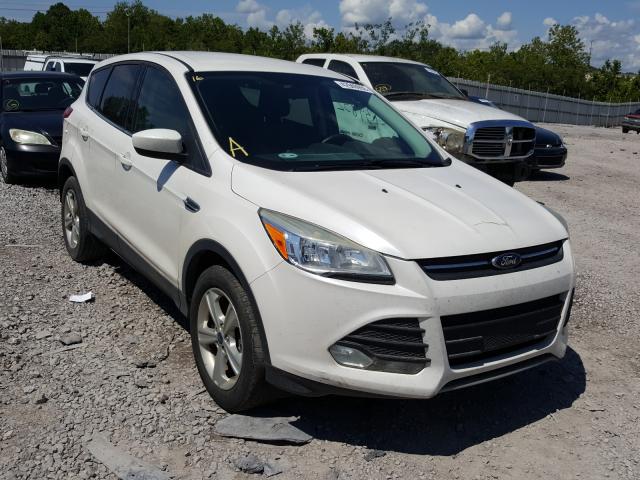 FORD ESCAPE SE 2013 1fmcu0g99duc26666