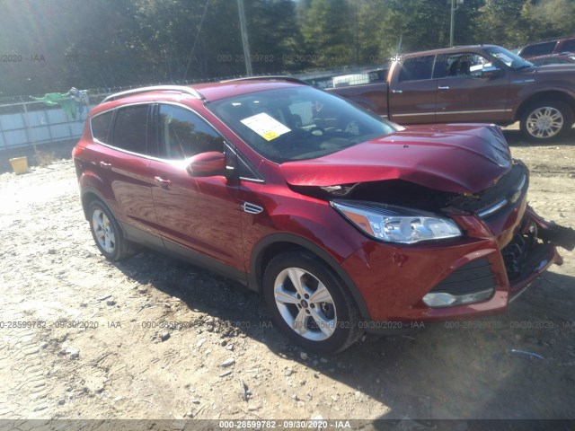 FORD ESCAPE 2014 1fmcu0g99eub54790