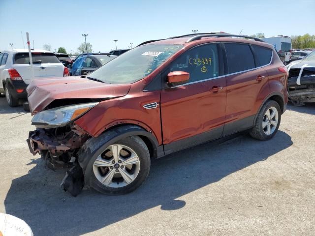 FORD ESCAPE 2014 1fmcu0g99euc25339