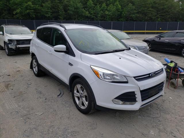 FORD ESCAPE SE 2014 1fmcu0g99euc42416