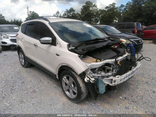 FORD ESCAPE 2013 1fmcu0g9xdub28908