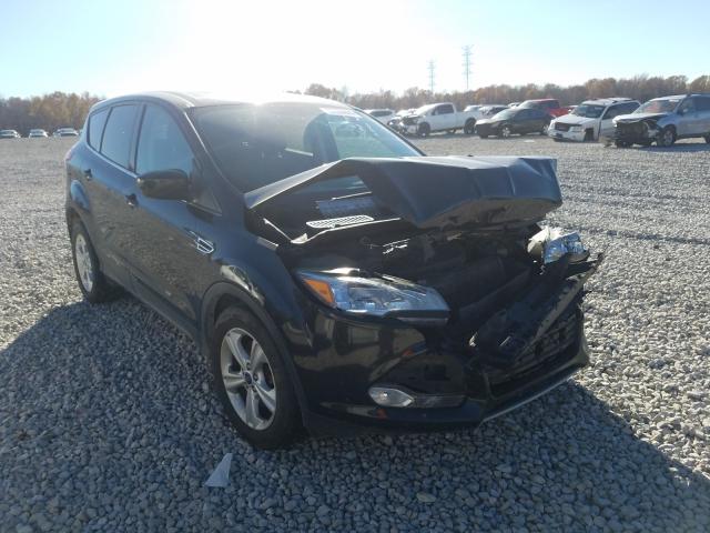 FORD ESCAPE SE 2014 1fmcu0g9xeua06194