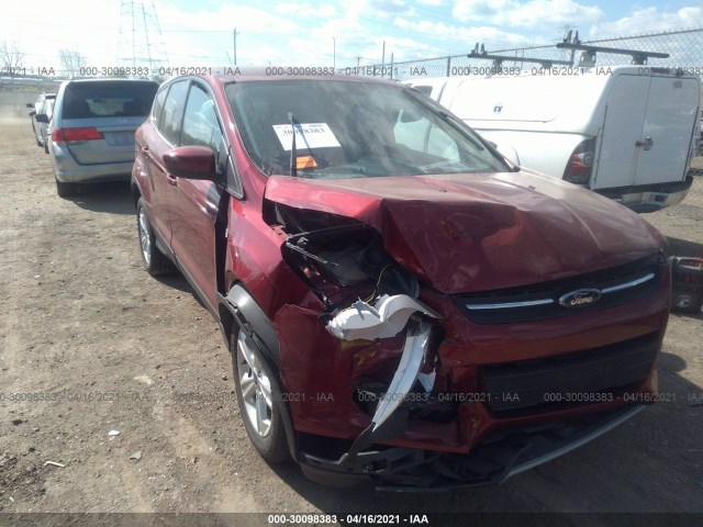 FORD ESCAPE 2014 1fmcu0g9xeua20631