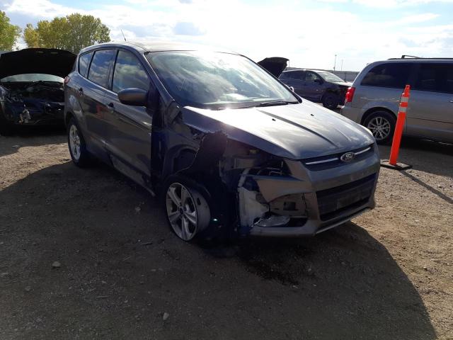 FORD ESCAPE SE 2014 1fmcu0g9xeuc00837