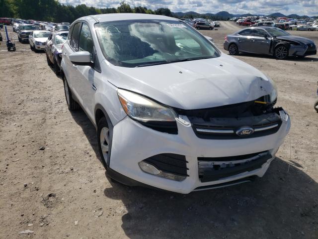 FORD ESCAPE 2014 1fmcu0g9xeuc93228