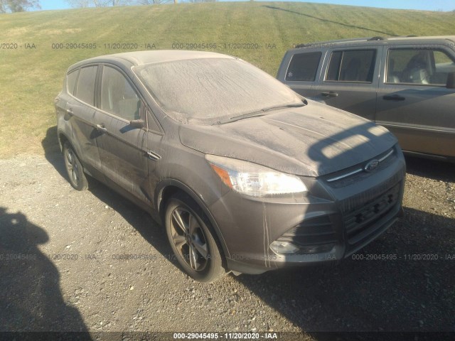 FORD ESCAPE 2014 1fmcu0g9xeud09816