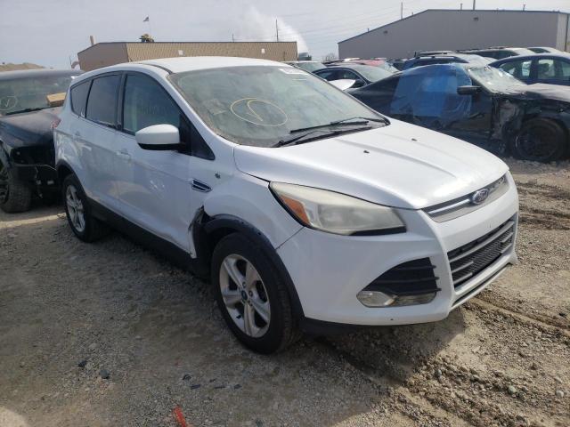 FORD ESCAPE SE 2014 1fmcu0g9xeud33033