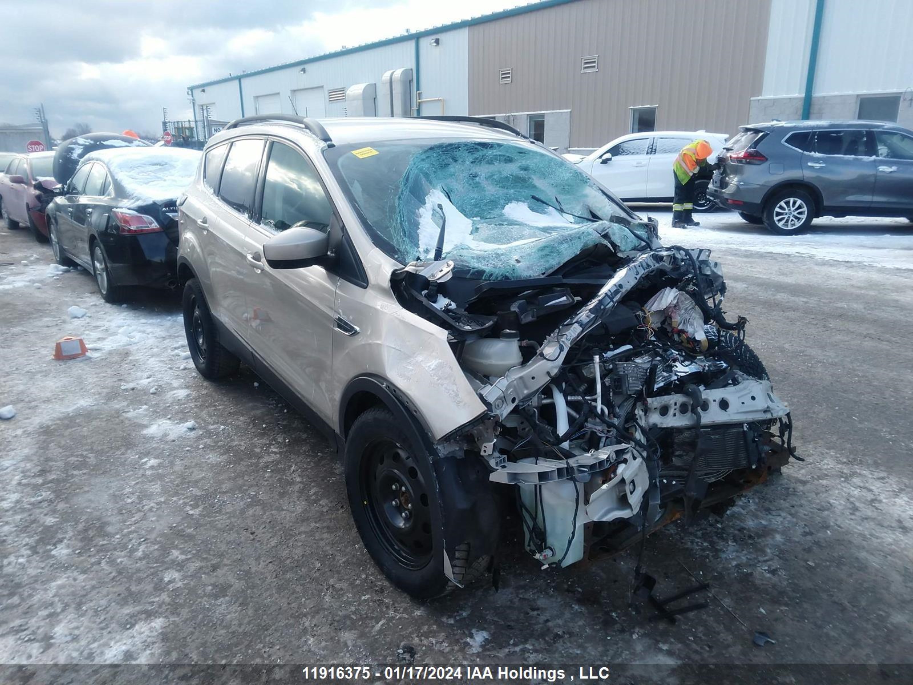 FORD ESCAPE 2017 1fmcu0gd0hub24067