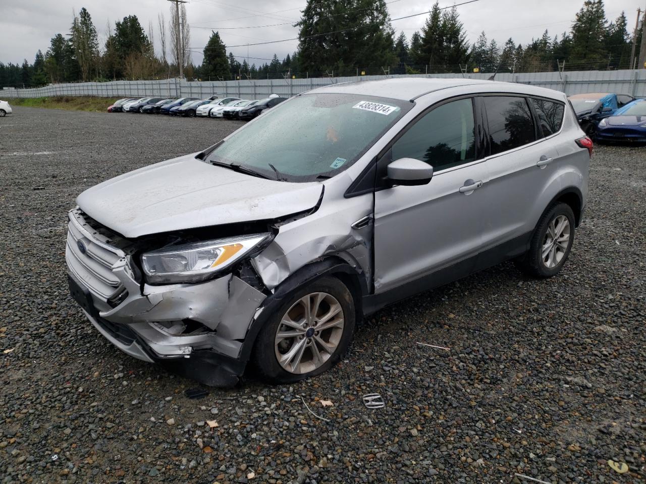 FORD ESCAPE 2019 1fmcu0gd1kuc34522