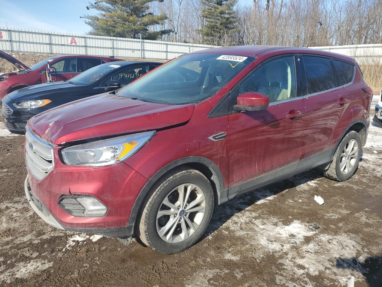 FORD ESCAPE 2019 1fmcu0gd2kuc00069