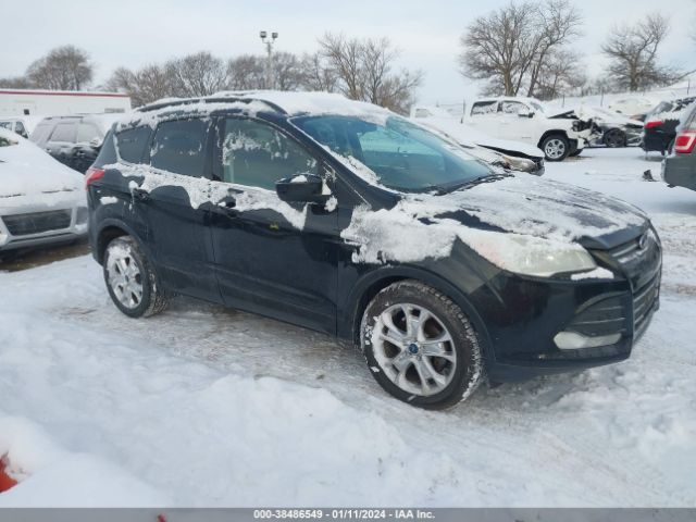 FORD NULL 2013 1fmcu0gx0dua38195