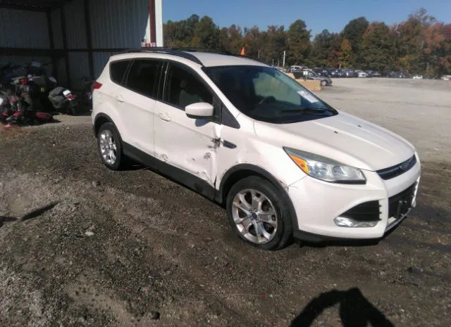 FORD ESCAPE 2013 1fmcu0gx0duc01623