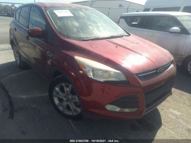 FORD ESCAPE 2013 1fmcu0gx0dud15217