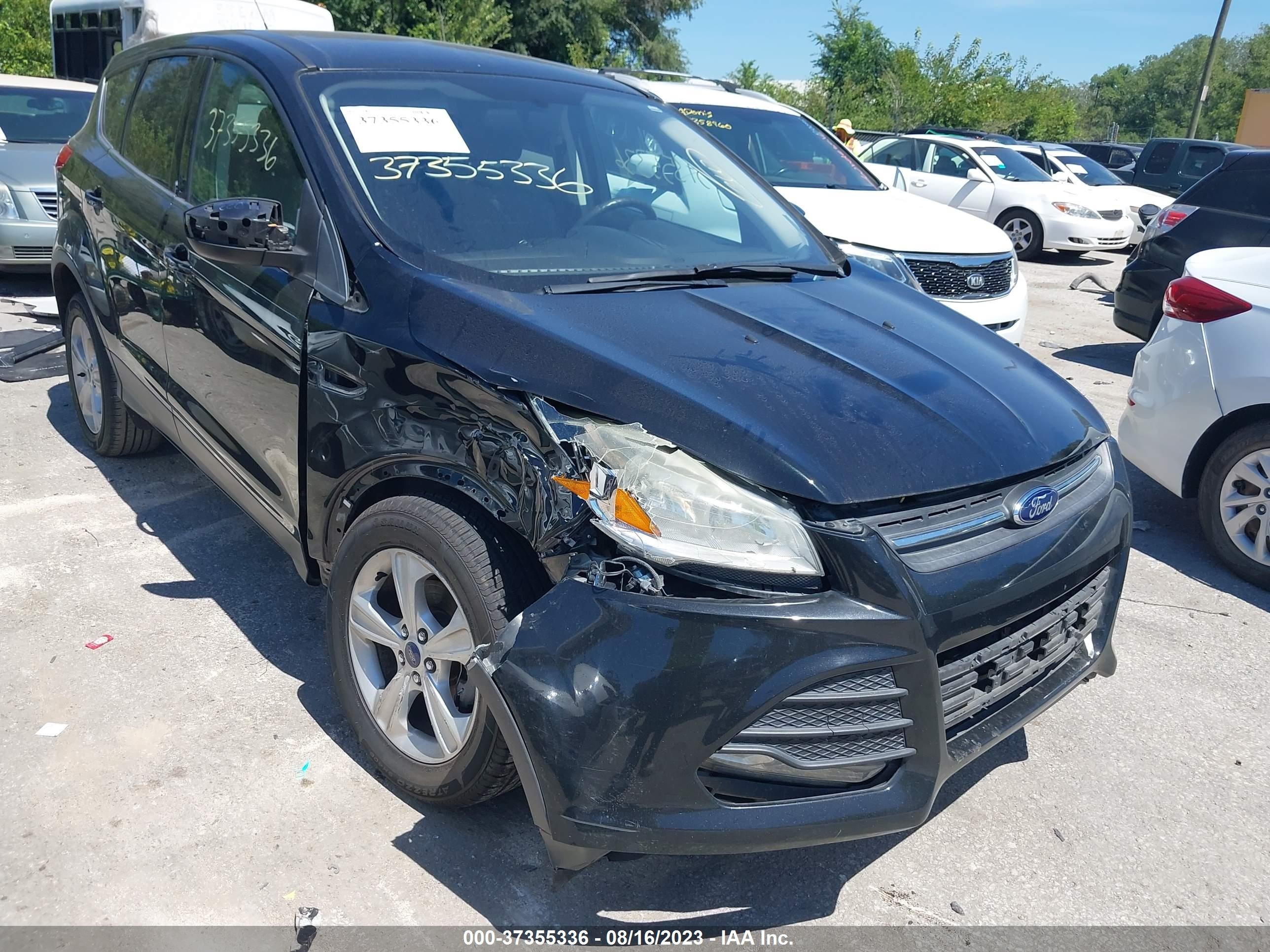 FORD ESCAPE 2013 1fmcu0gx0dud41459