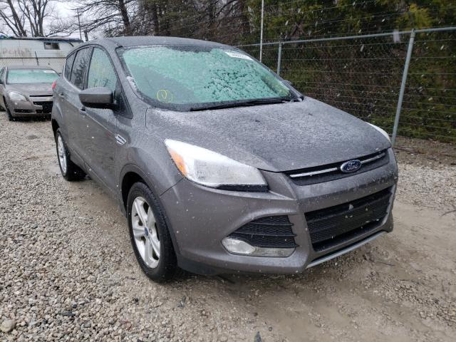 FORD ESCAPE 2014 1fmcu0gx0eua59937