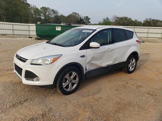 FORD ESCAPE SE 2014 1fmcu0gx0eub02429