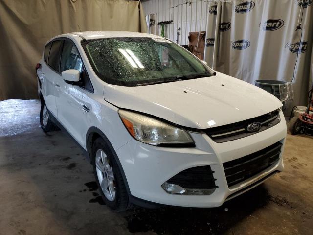 FORD ESCAPE SE 2014 1fmcu0gx0eub04651