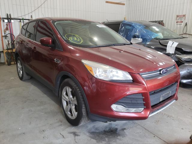 FORD ESCAPE SE 2014 1fmcu0gx0eub13012