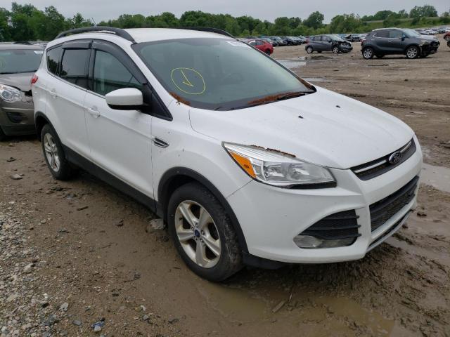 FORD ESCAPE 2014 1fmcu0gx0eub14306